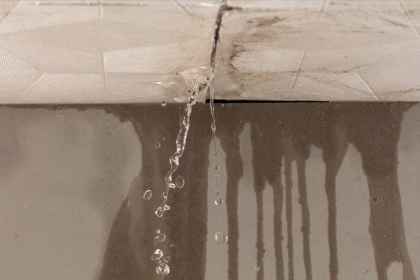 Professional Flood Damage Cleanup technician working in Brooksville, MS